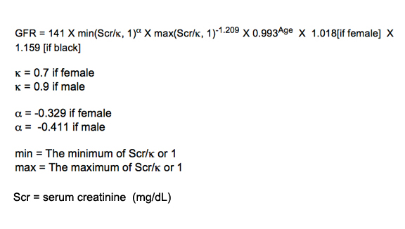 The Ckd Epi Creatinine Equation 2009