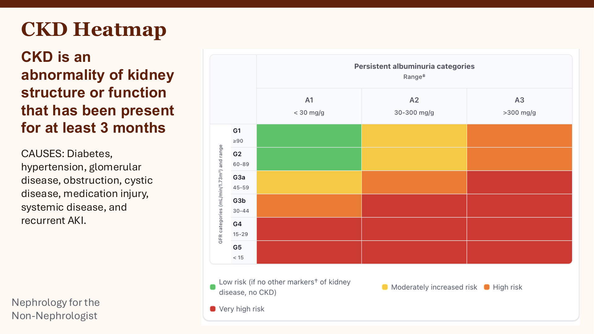 Nephrology for the Non-Nephrologist slide 4